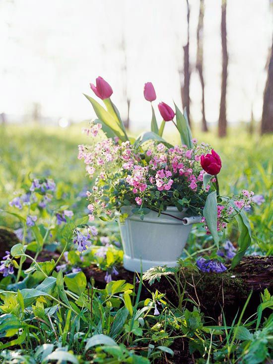Tulips, daffodils, hyacinths in ceramic bucket