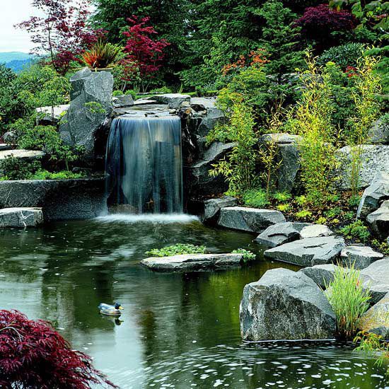 Cavanah garden with waterfall, pond, and duck