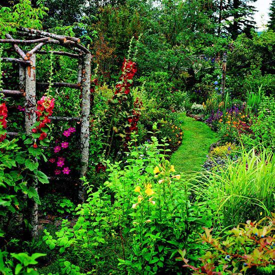 Arbor with red hollyhocks and lavatera