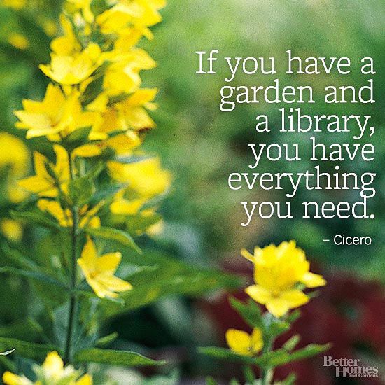 Garden Quotes Better Homes Gardens