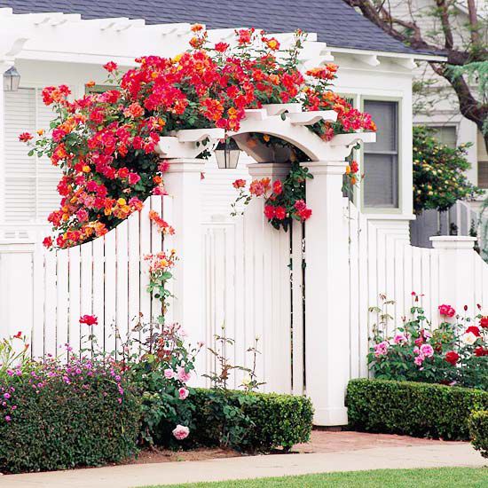Rose-Topped Arbor