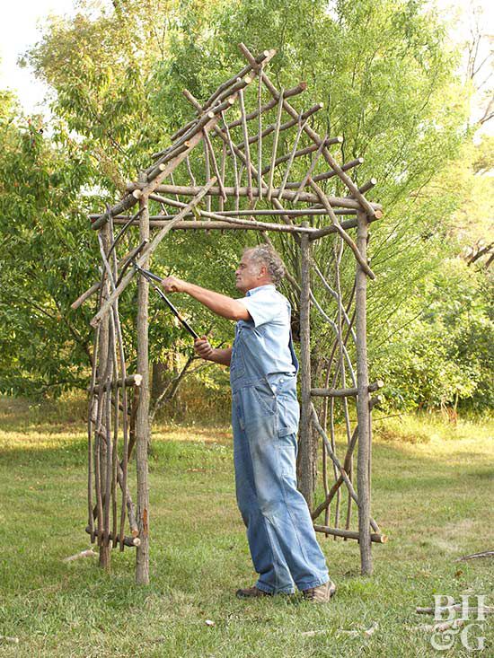 trimming twigs off willow arbor
