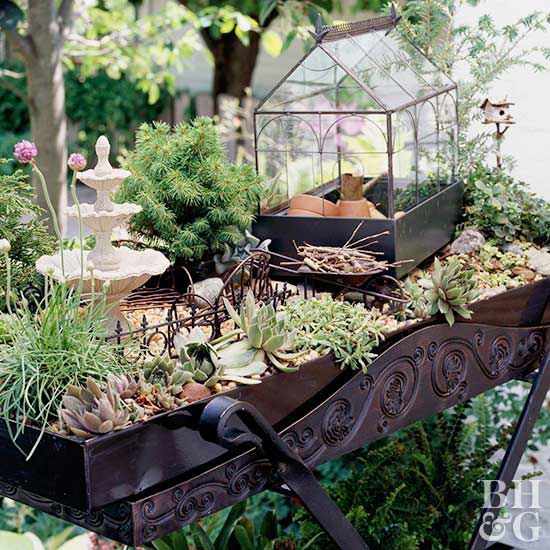 Make A Miniature Garden Better Homes Gardens