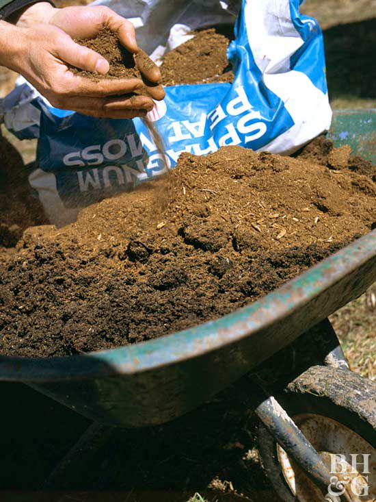 mixing sphagnum peat moss with soil