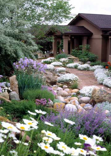 rock and flower garden area
