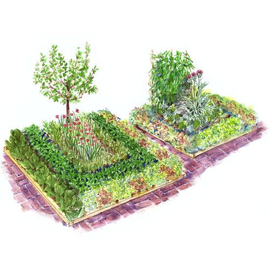 Patio Vegetable Garden Plan