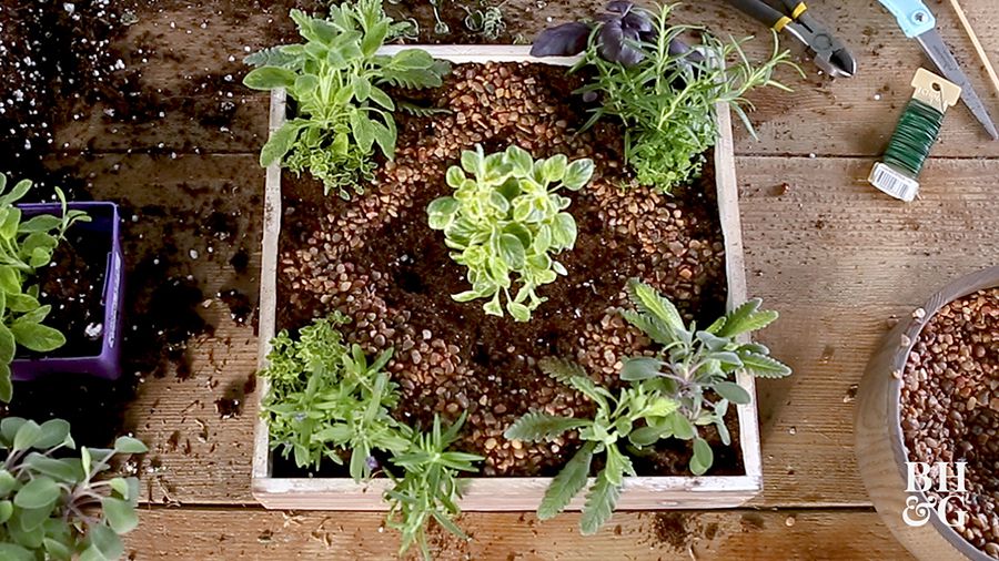 DIY One-Hour Miniature Herb Garden