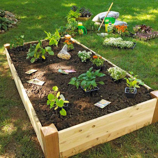 Design Tip: Keep Raised Vegetable Garden Beds Narrow