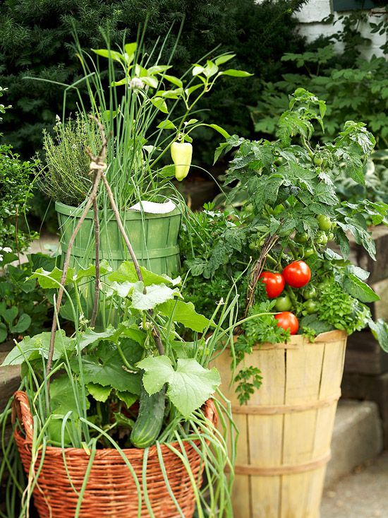 Fresh Ideas For Growing Vegetables In Containers Better Homes