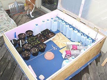 Cold Frame with Insulation