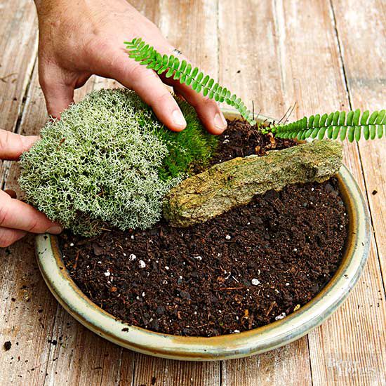How To Make A Tabletop Moss Garden Better Homes Gardens