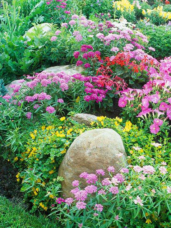 Rock Garden Design Ideas Better Homes Gardens