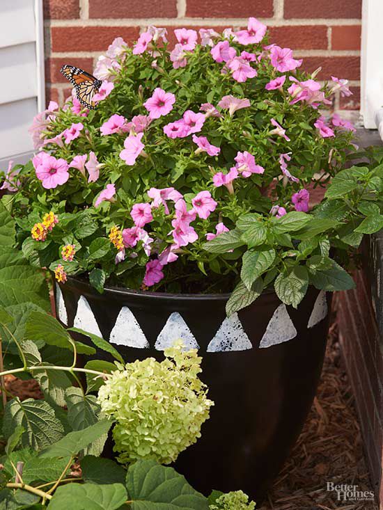 Decorate Outdoor Planters