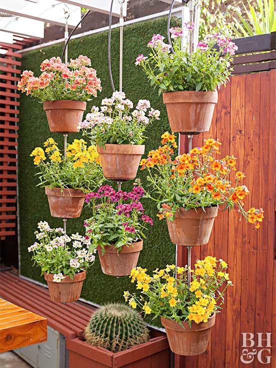hanging potted flowers terra cotta
