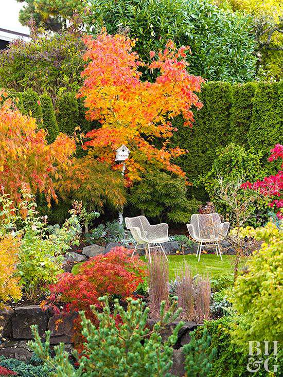 chairs and bright foliage