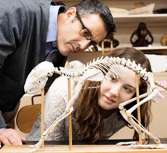 father and daughter looking at animal skeleton