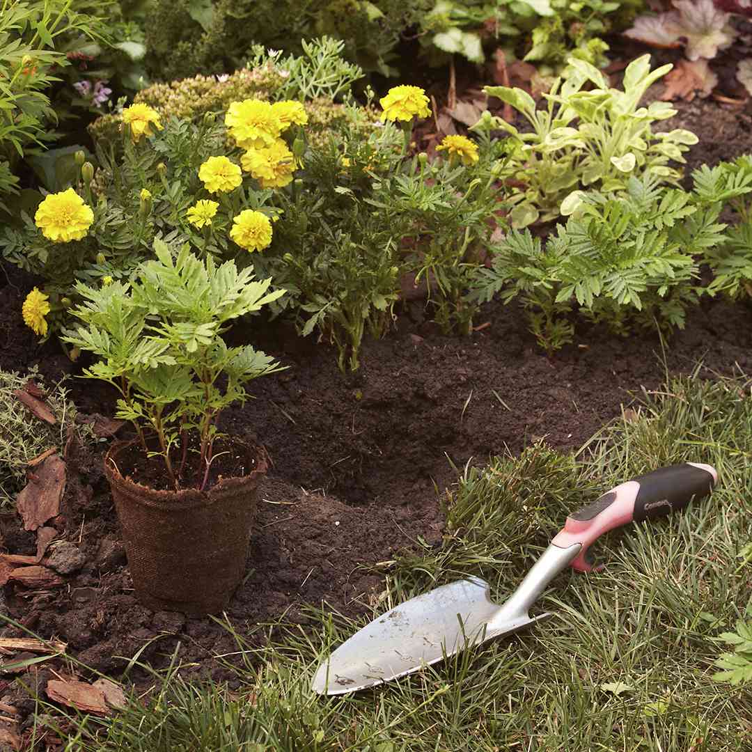 digging hole for flowers trowel
