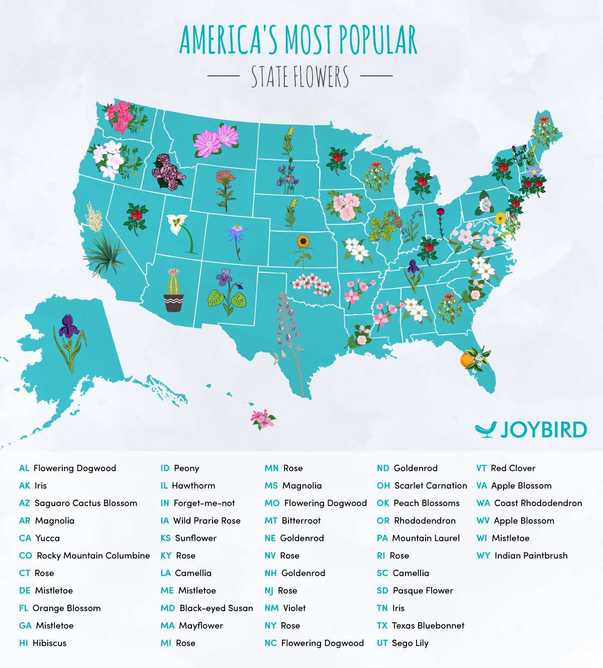 America's Most Popular Flowers By State map graphic