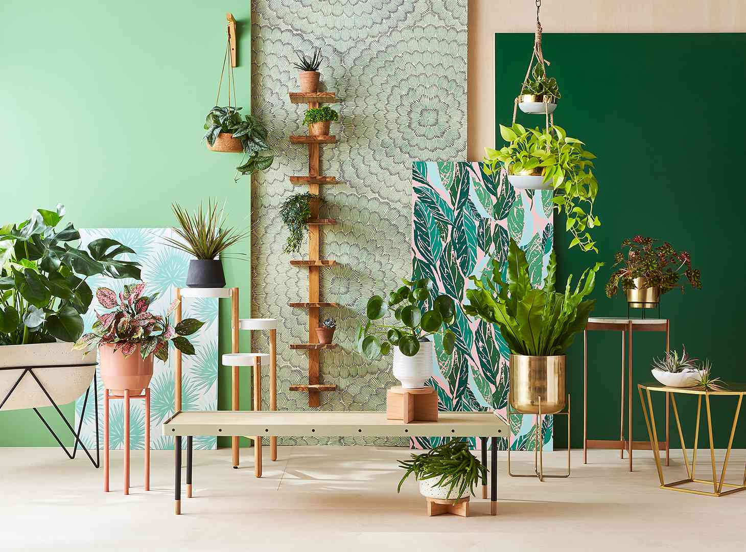 decorative plant stands display green