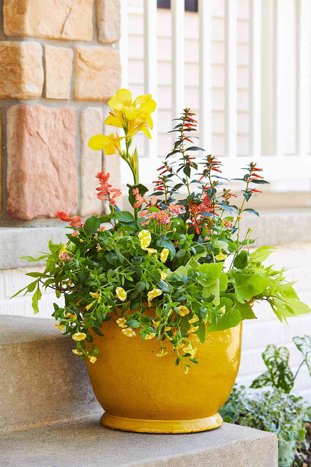 short yellow pot with flowers on front steps