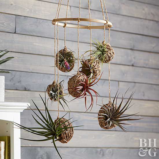 mobile with seven hanging air plants