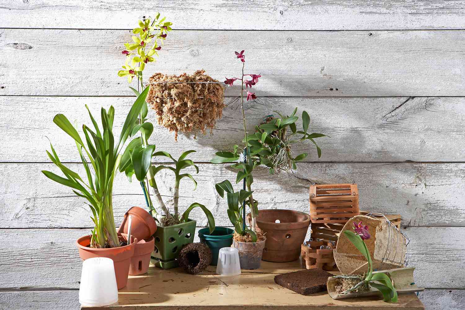 Plastic Tall Plant Pots Black Desk Flower Pots Indoor Outdoor for Orchid 