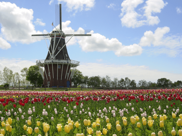 Holland Tulip Time Festival