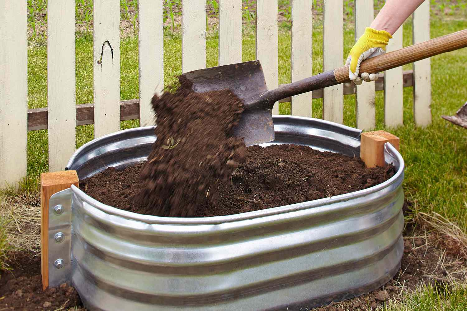 adding soil to metal tub with garden shovel