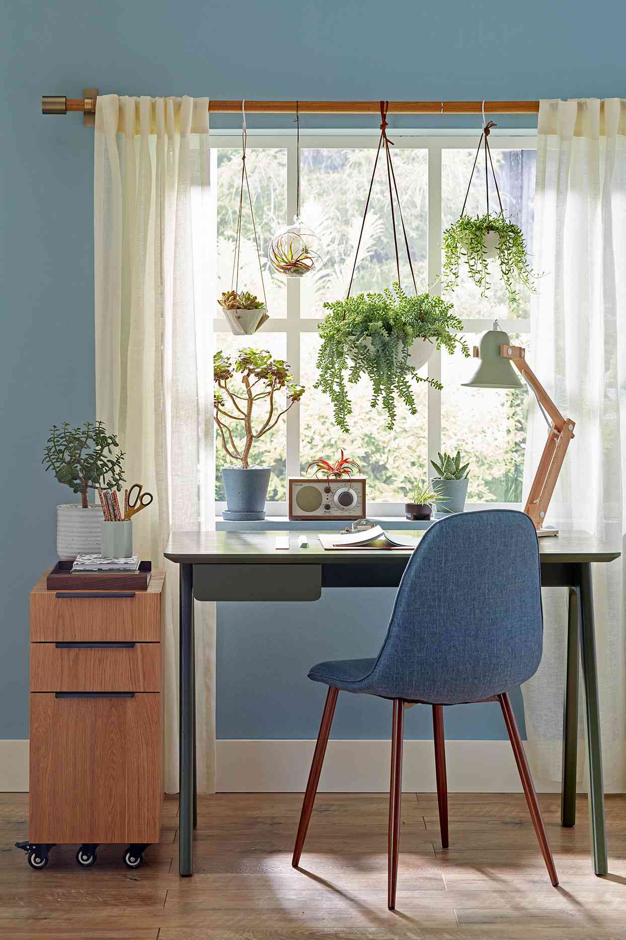 blue desk chair by window with plants
