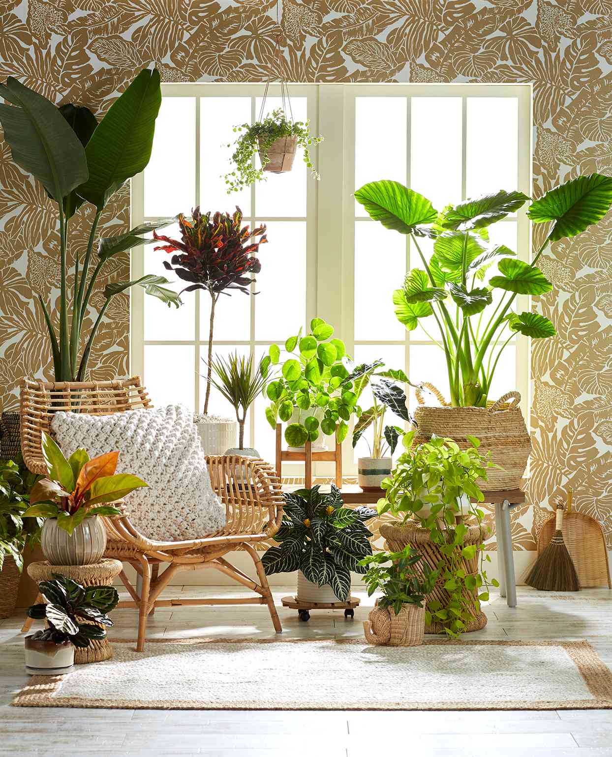 window sitting area filled with plants