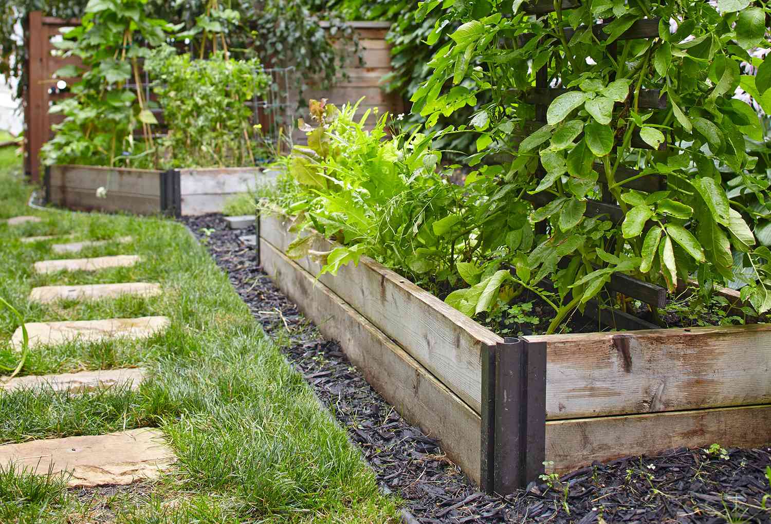  Season Raised Bed Plan Better Homes Gardens
