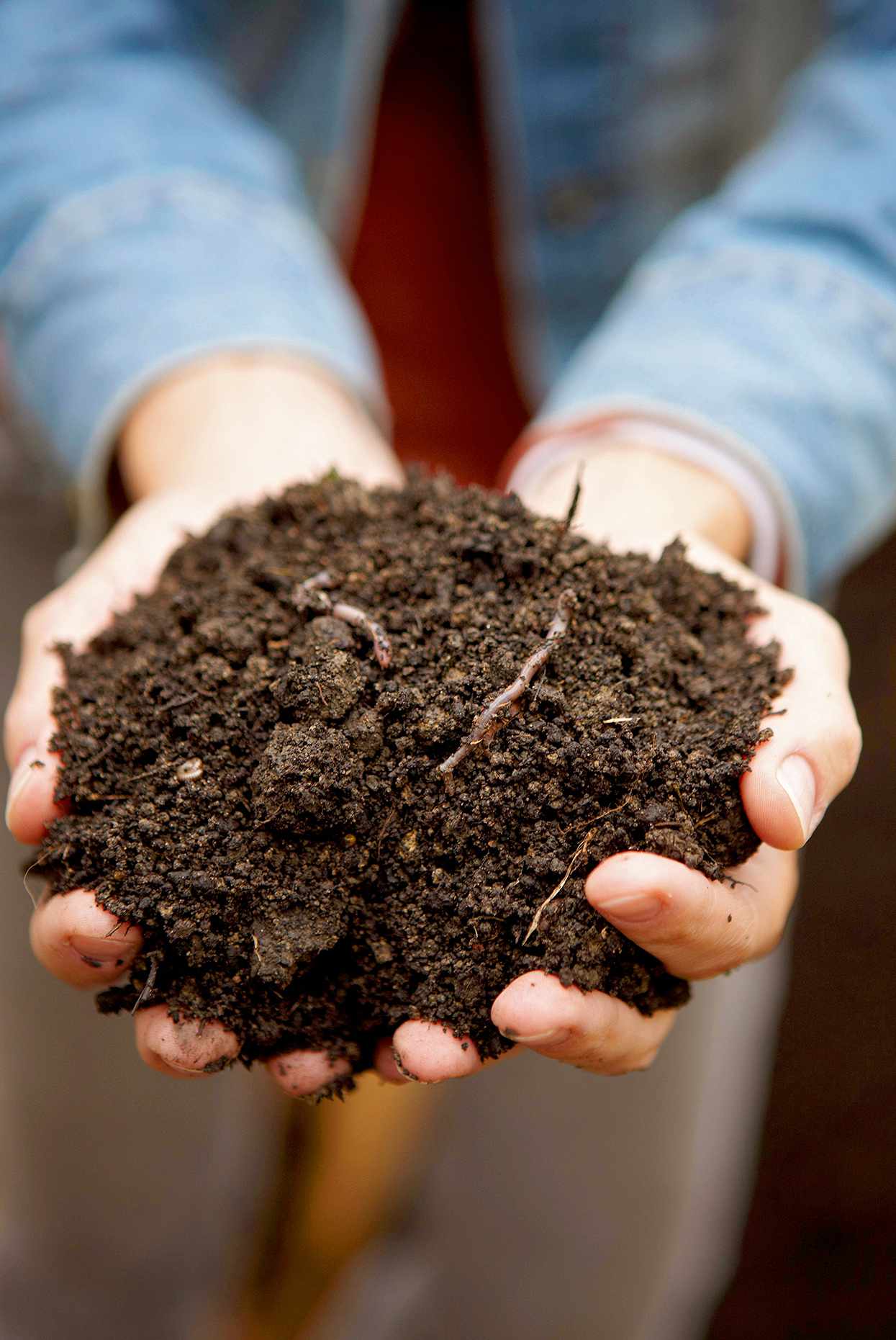 hands holding organic material for soil