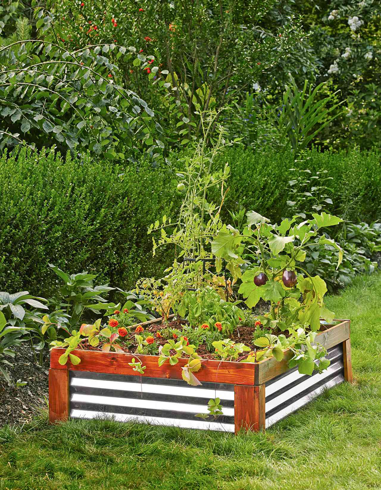 Why You Need A Raised Garden Bed Better Homes Gardens