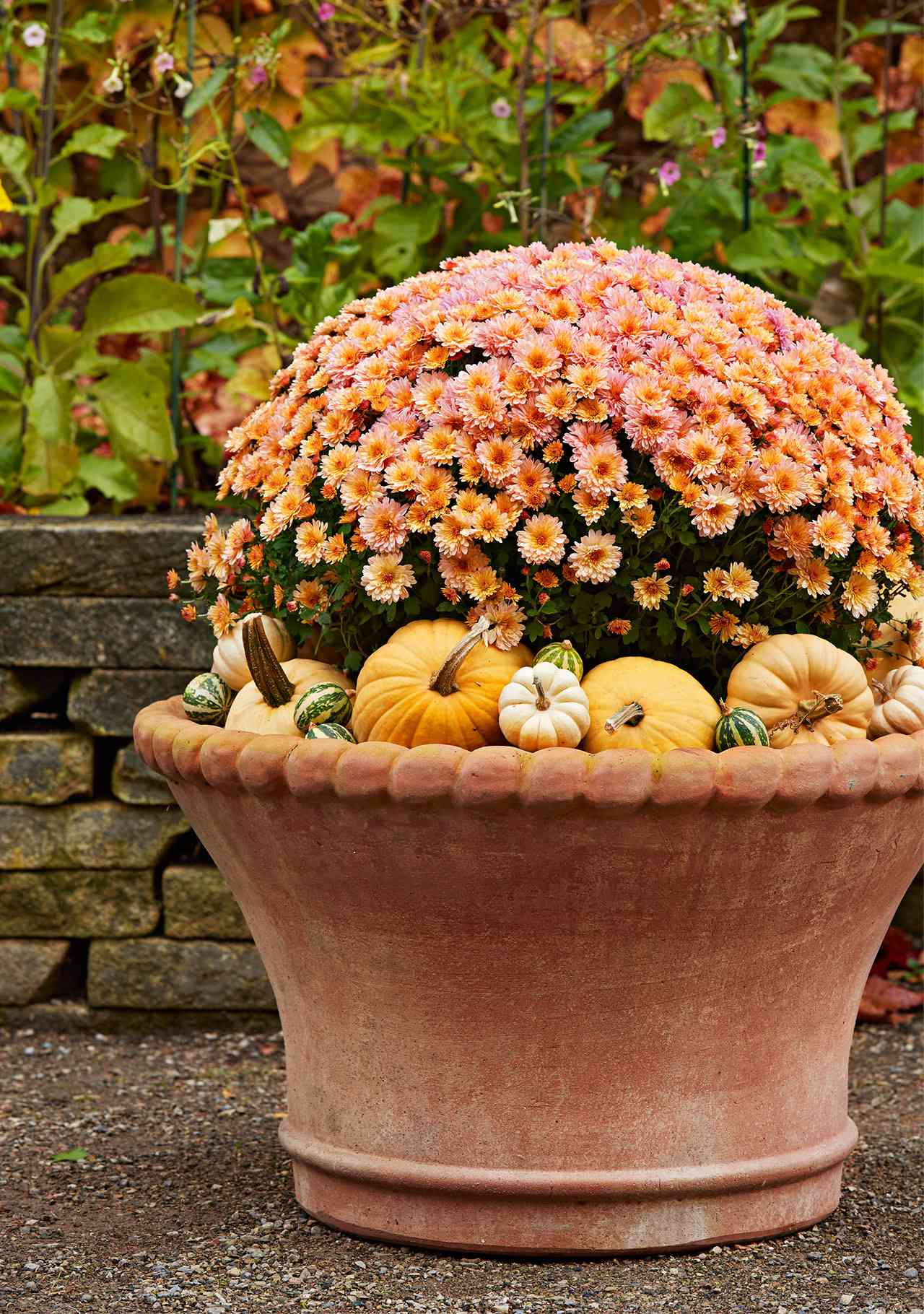mums and pumpkins in planter for a fall display