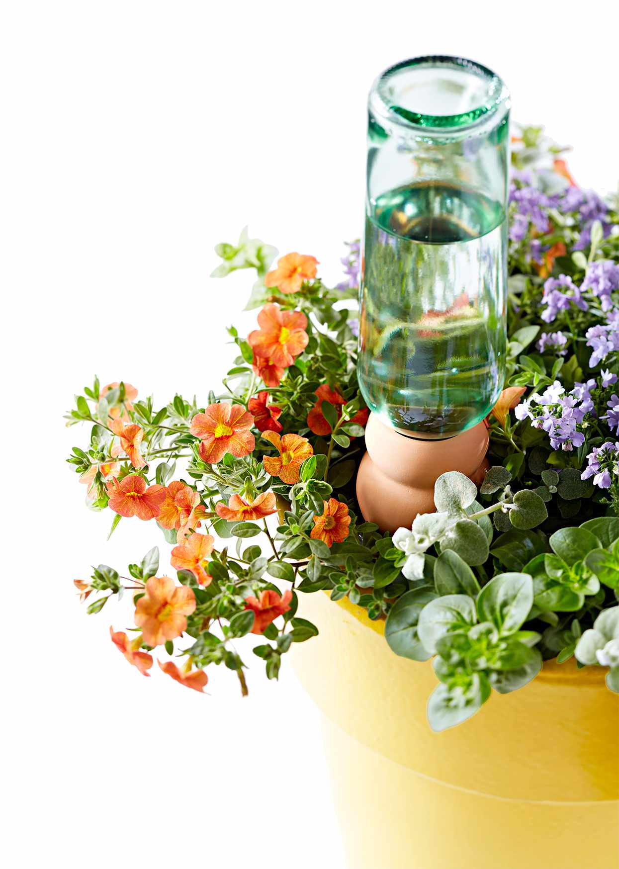 potted flowers with bottle irrigation system