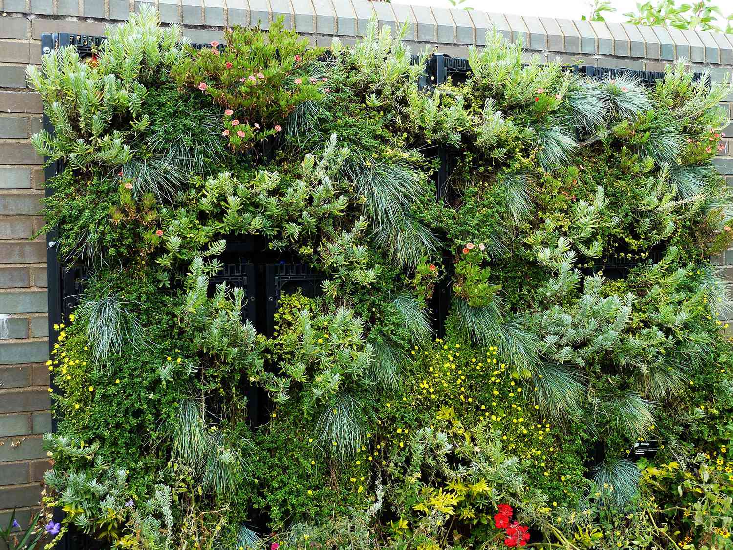 vertical garden with lush plantings