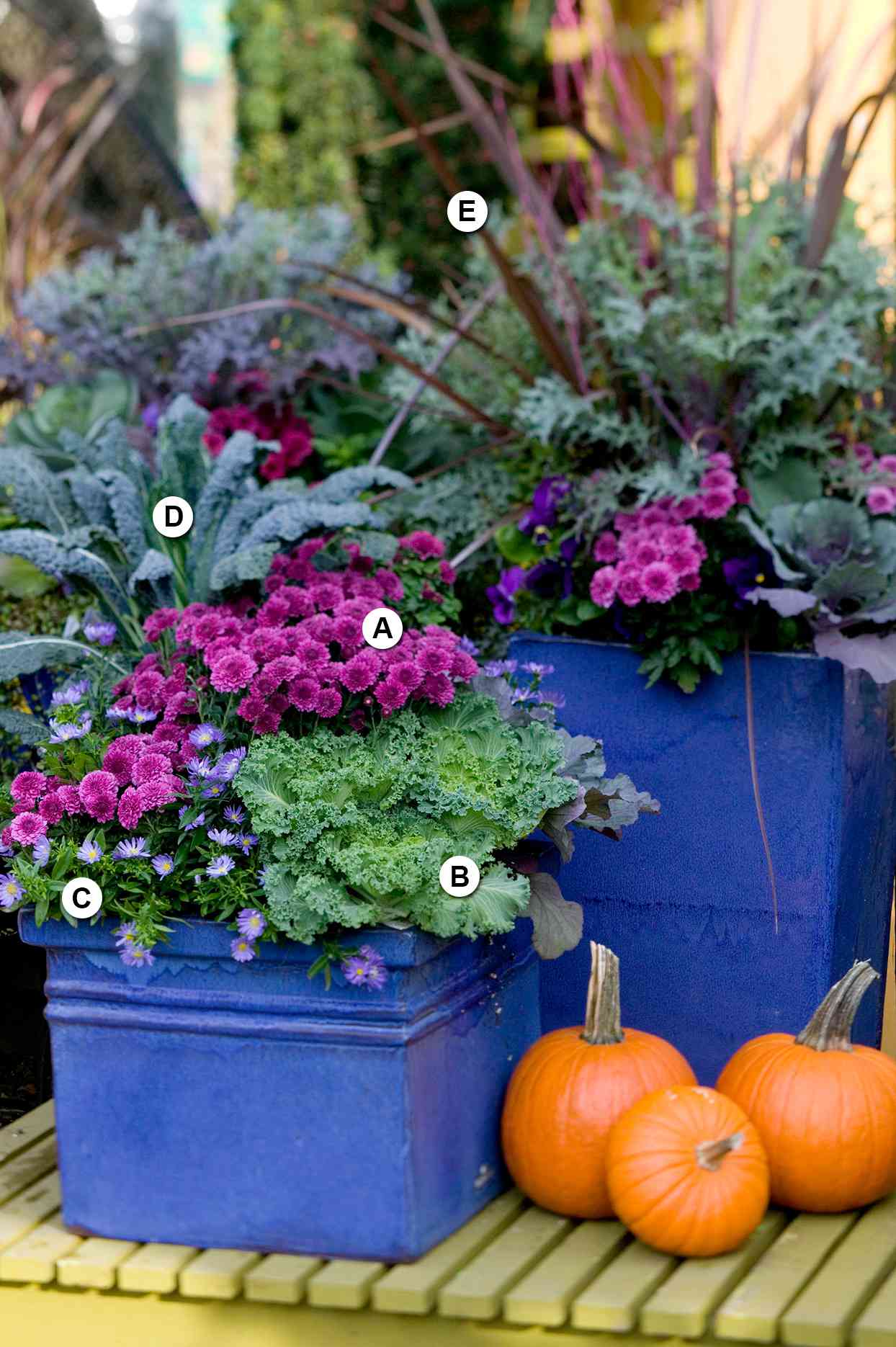 Container Garden with letters