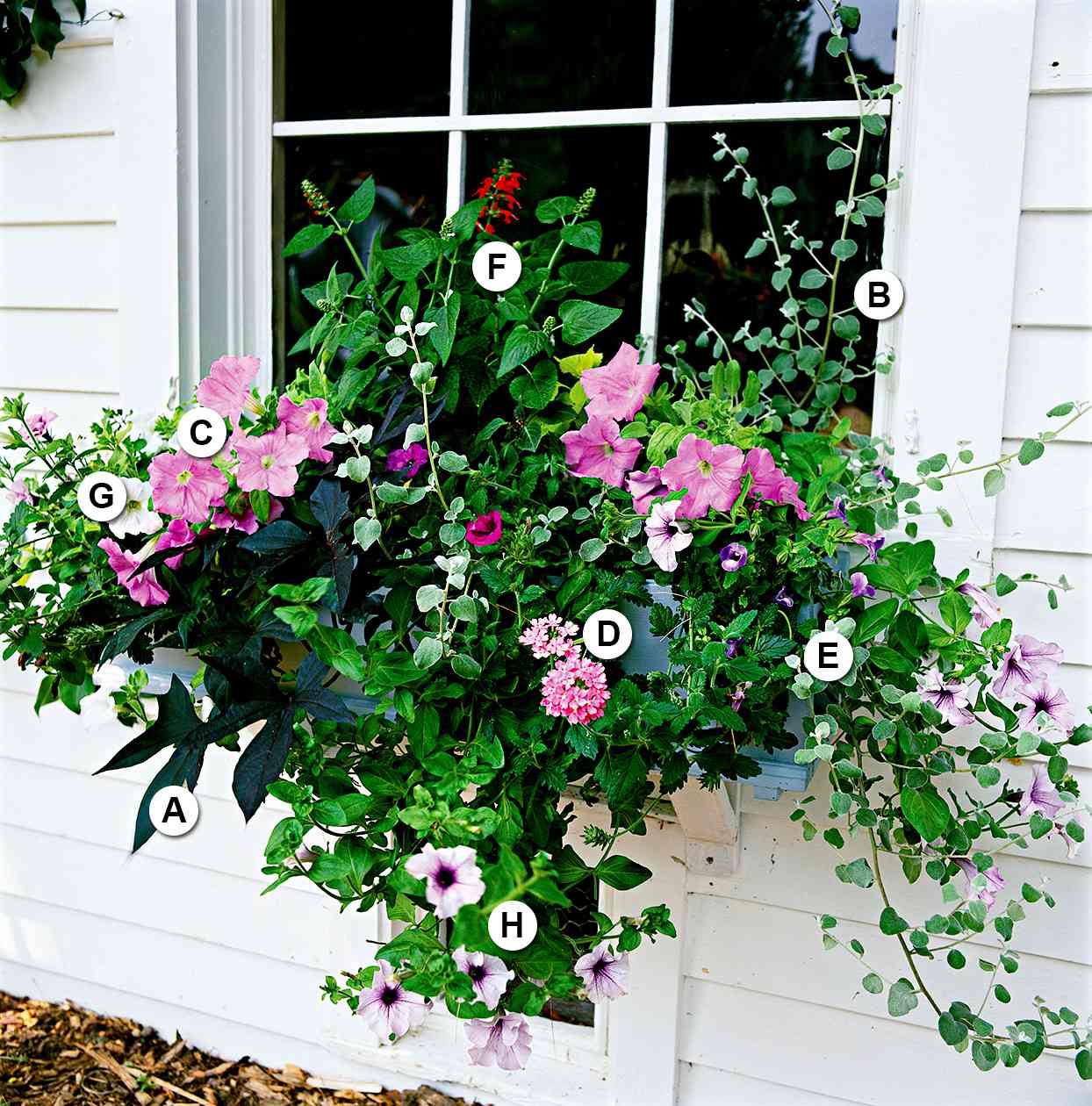 Pink flowers container garden with letters