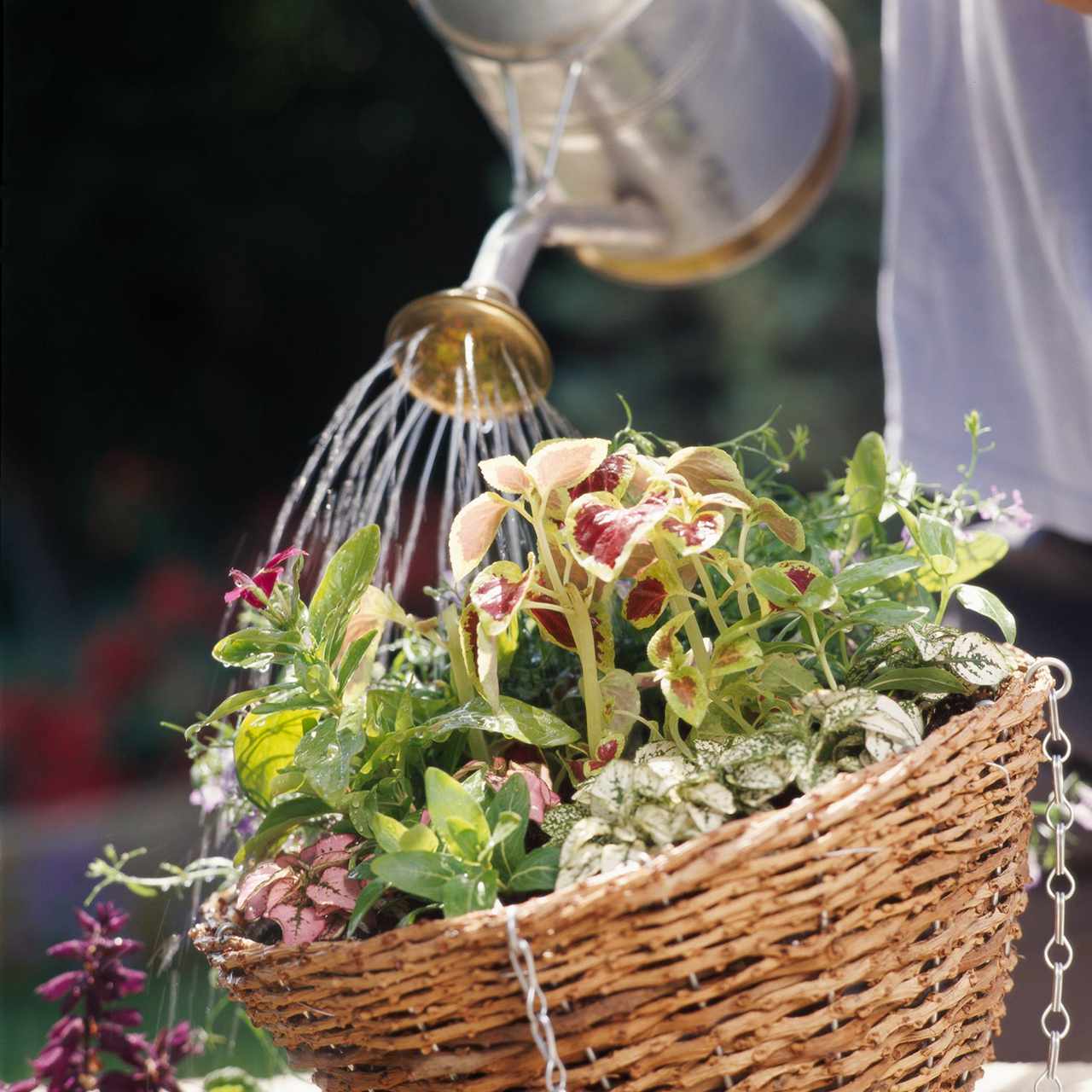 utiliser un réservoir d'eau pour suspendre les plantes à panier