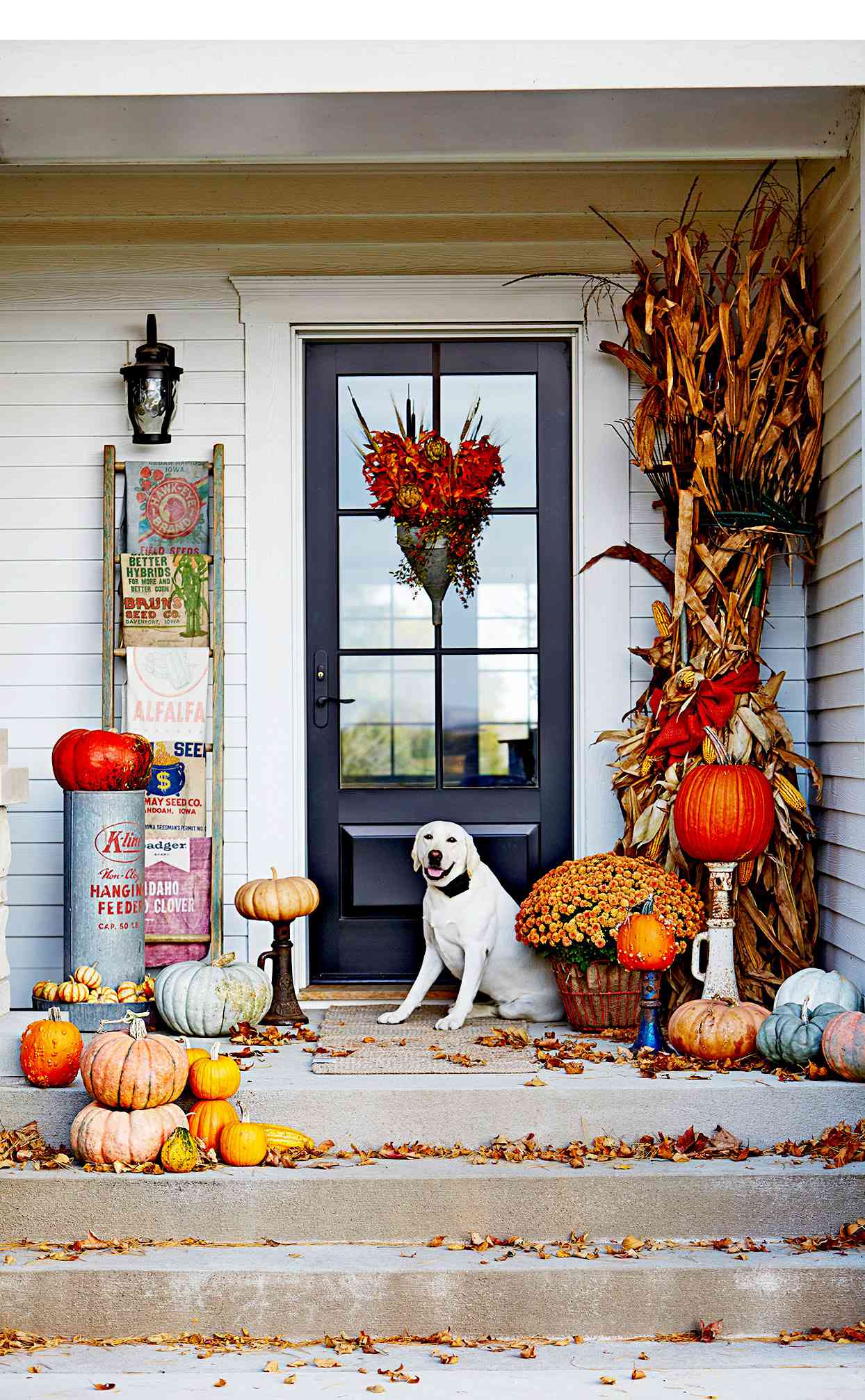 Dog on front porch with fall d&eacute;cor