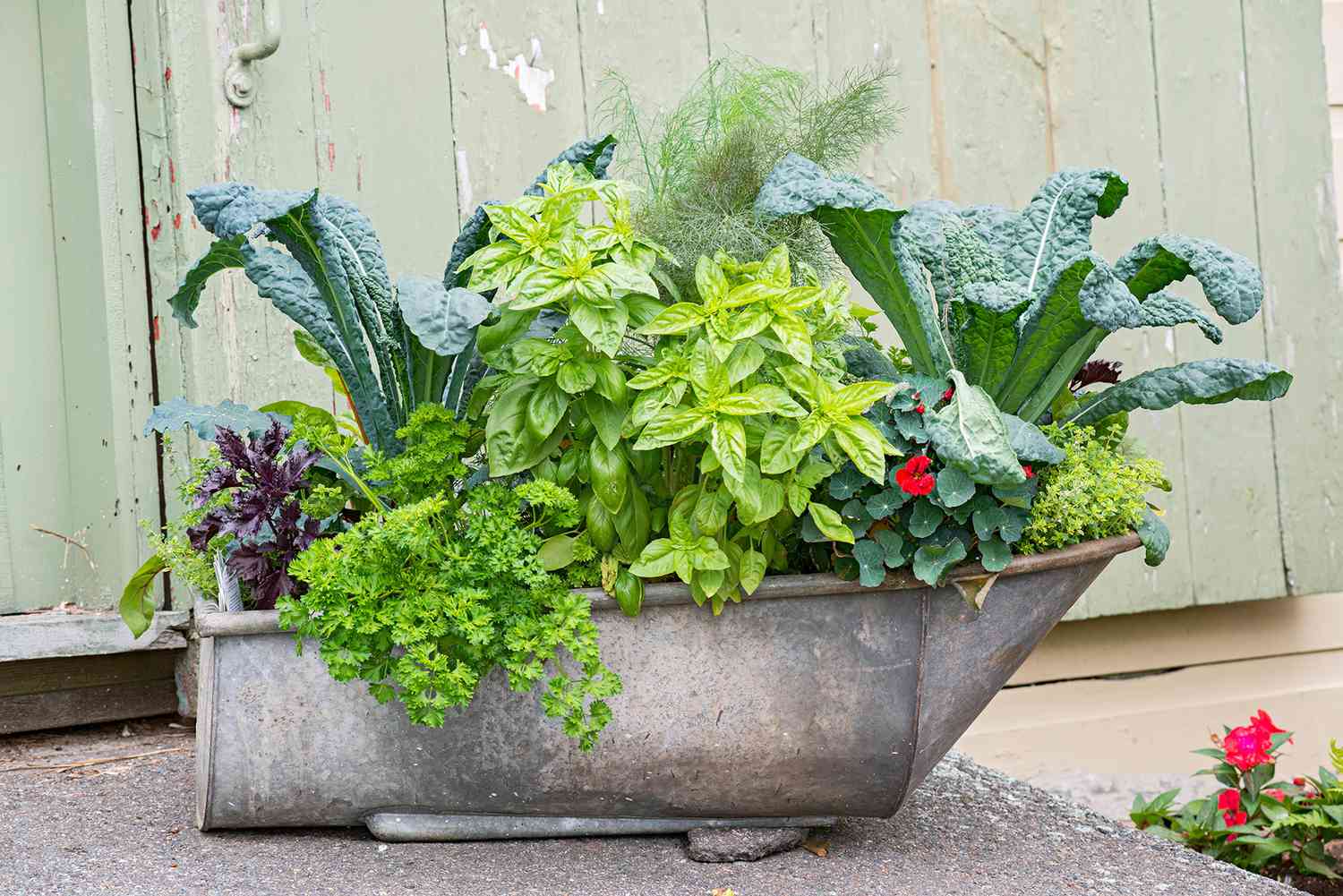 metal bathtub shaped container filled with lush plants