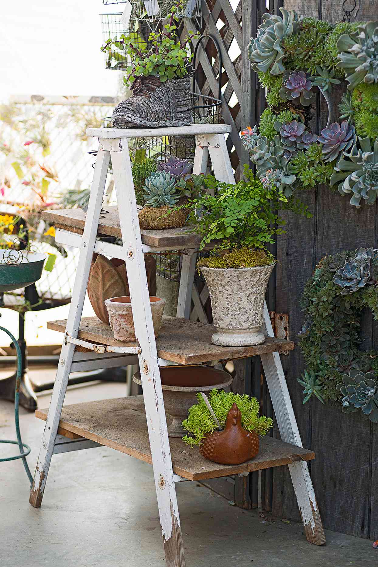 rustic ladder with plant containers