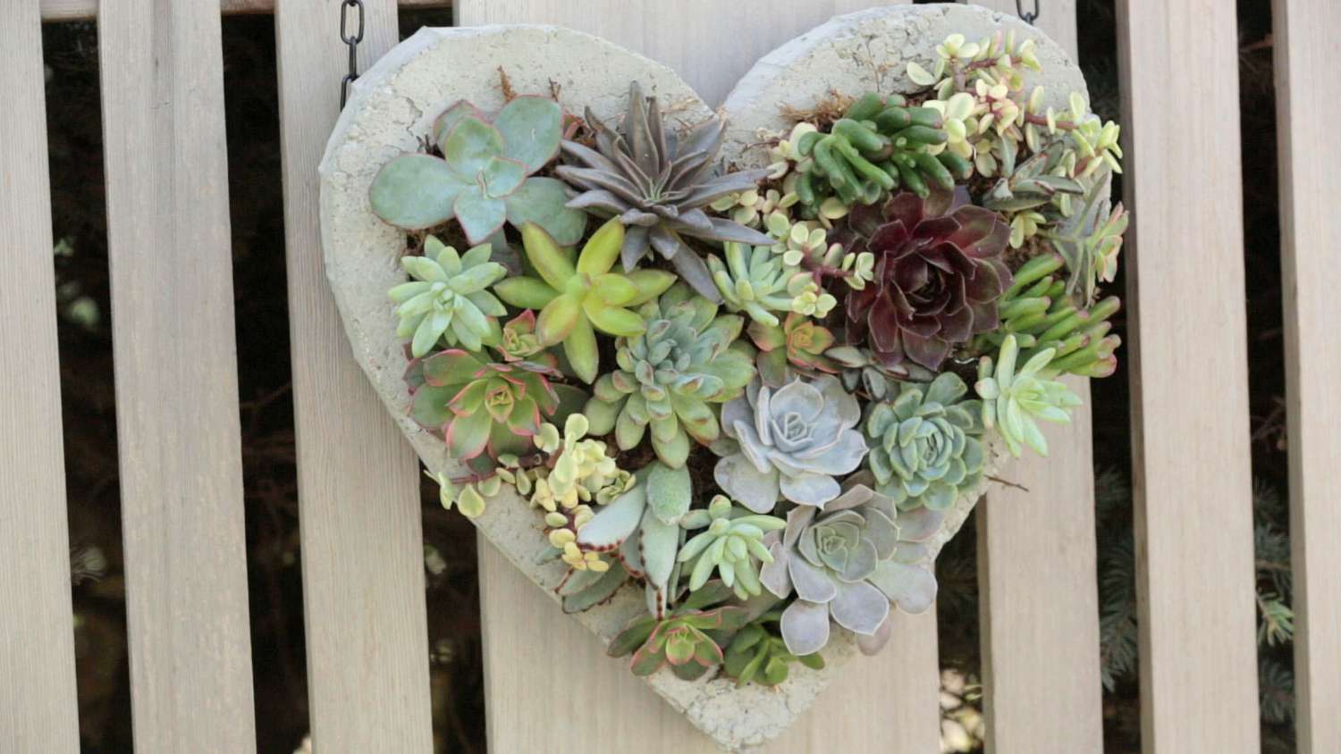 concrete heart with succulent plants hanging on fence