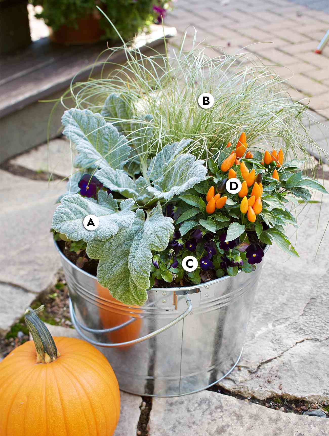 Create a Long-Lasting Display with Peppers and Pansies