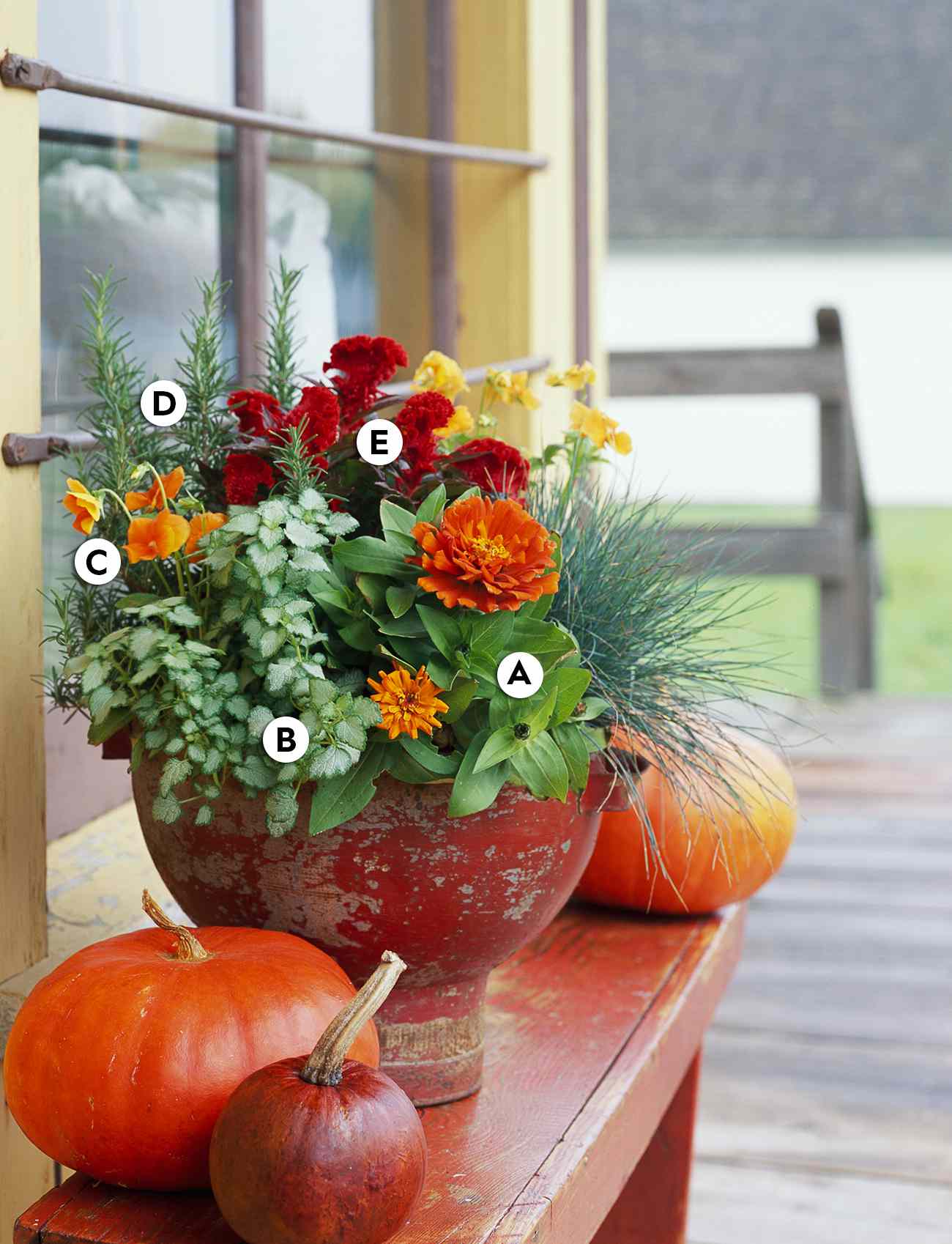 Make An Accent fall flowers container garden