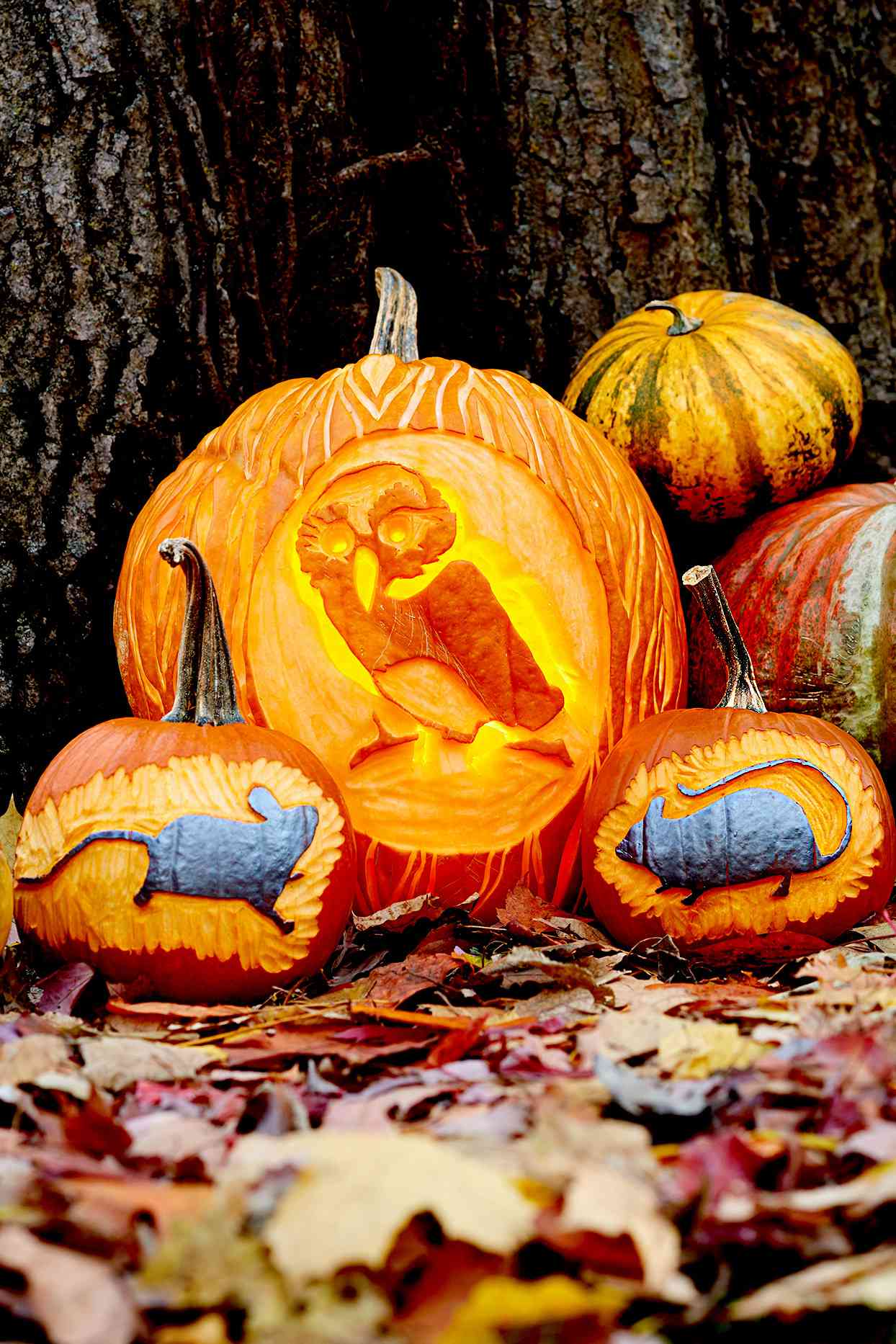 Pumpkins carved with owl and mice