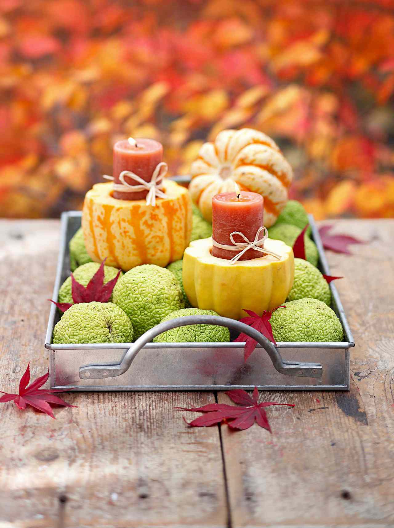 gourd candleholder tray with hedge apples