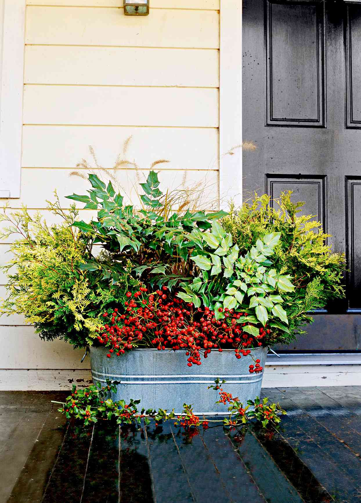 Outdoor metal planter with plant variety