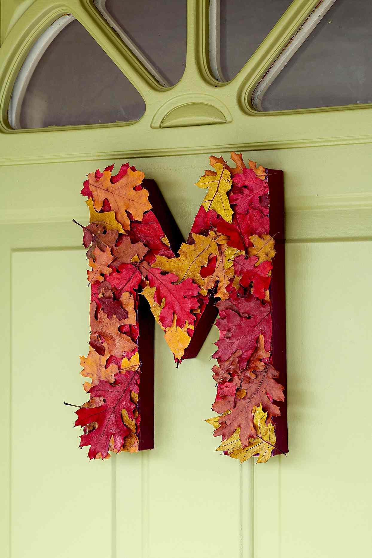 Leaves in the shape of an "M" on front door