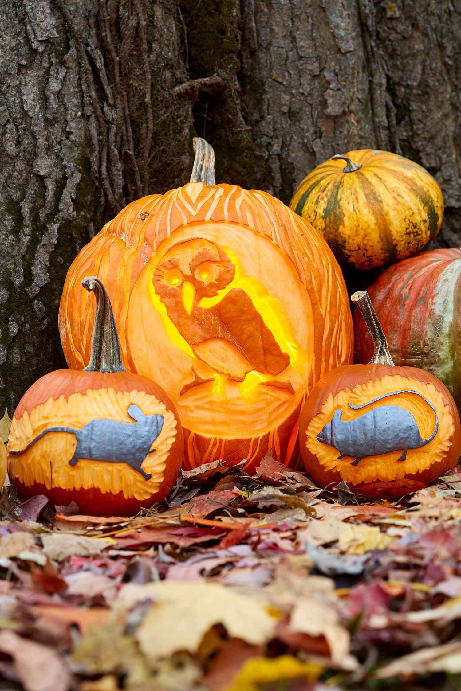 owl and mouse pumpkins